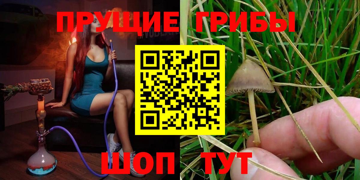 Павлово  Галлюциногенные грибы ЛСД  Вход с VPN 